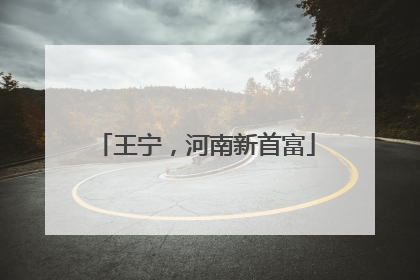王宁，河南新首富