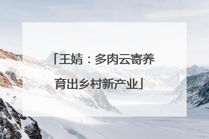 王婧：多肉云寄养 育出乡村新产业