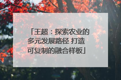 王超：探索农业的多元发展路径 打造可复制的融合样板