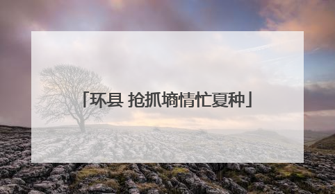 环县 抢抓墒情忙夏种
