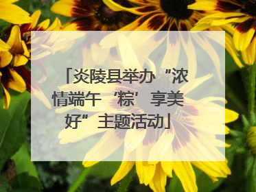 炎陵县举办“浓情端午‘粽’享美好”主题活动