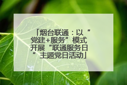 烟台联通：以“党建+服务”模式开展“联通服务日”主题党日活动