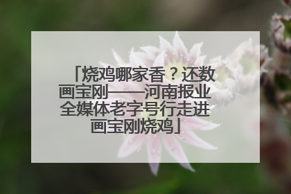 烧鸡哪家香？还数画宝刚——河南报业全媒体老字号行走进画宝刚烧鸡