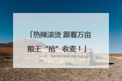 热辣滚烫 跟着万亩粮王“抢”收麦！