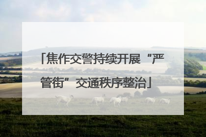 焦作交警持续开展“严管街”交通秩序整治