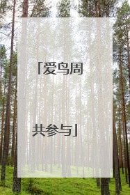 爱鸟周 共参与