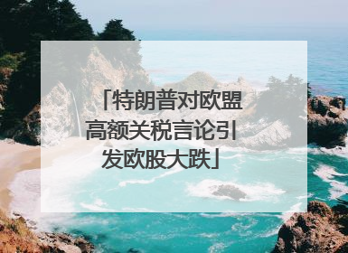 特朗普对欧盟高额关税言论引发欧股大跌