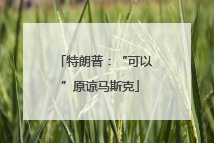 特朗普：“可以”原谅马斯克