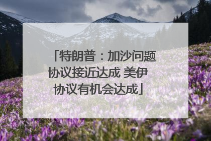 特朗普：加沙问题协议接近达成 美伊协议有机会达成