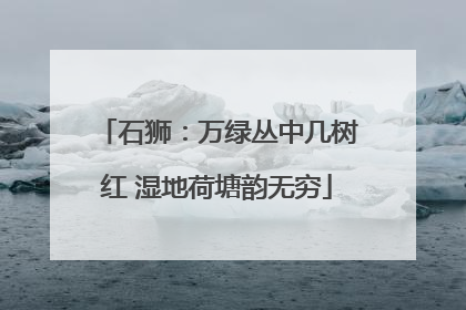 石狮：万绿丛中几树红 湿地荷塘韵无穷