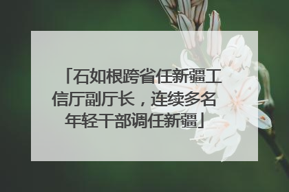 石如根跨省任新疆工信厅副厅长，连续多名年轻干部调任新疆