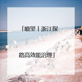 瞭望丨浙江探路高效能治理