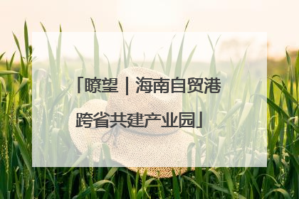 瞭望｜海南自贸港跨省共建产业园