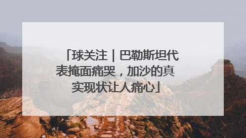 球关注｜巴勒斯坦代表掩面痛哭，加沙的真实现状让人痛心