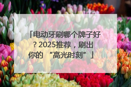 电动牙刷哪个牌子好？2025推荐，刷出你的 “高光时刻”