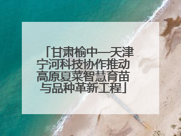 甘肃榆中—天津宁河科技协作推动高原夏菜智慧育苗与品种革新工程