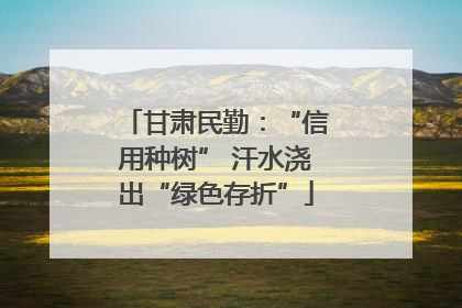 甘肃民勤：“信用种树” 汗水浇出“绿色存折”