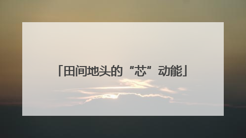 田间地头的“芯”动能