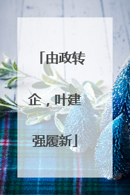 由政转企，叶建强履新