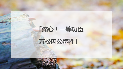 痛心！一等功臣万松因公牺牲