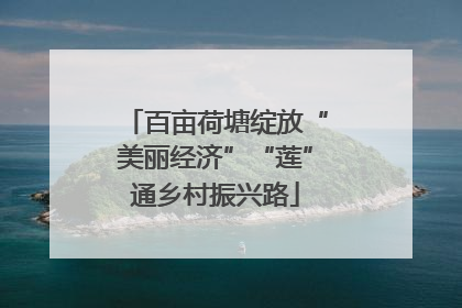 百亩荷塘绽放“美丽经济”“莲”通乡村振兴路