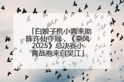 白娘子携小青来助阵许仙夺冠，《乘风2025》总决赛小青战袍来自吴江
