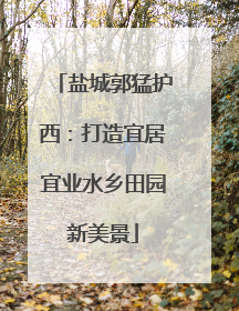 盐城郭猛护西：打造宜居宜业水乡田园新美景