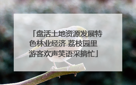 盘活土地资源发展特色林业经济 荔枝园里游客欢声笑语采摘忙