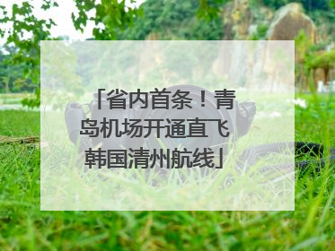 省内首条！青岛机场开通直飞韩国清州航线