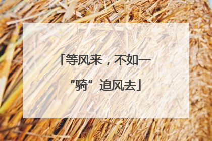 等风来，不如一“骑”追风去