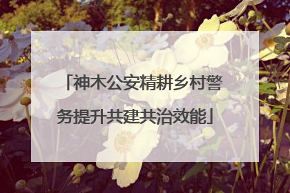 神木公安精耕乡村警务提升共建共治效能