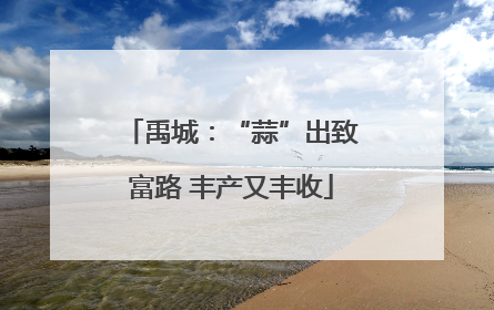 禹城：“蒜”出致富路 丰产又丰收