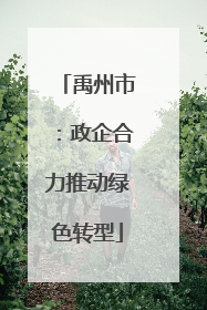 禹州市：政企合力推动绿色转型