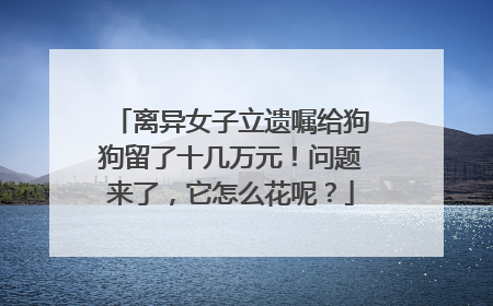 离异女子立遗嘱给狗狗留了十几万元！问题来了，它怎么花呢？