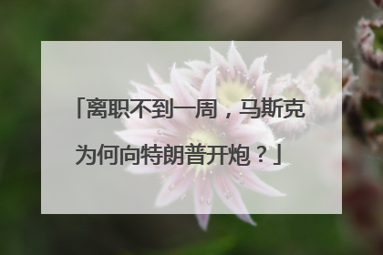 离职不到一周，马斯克为何向特朗普开炮？