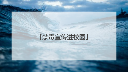 禁毒宣传进校园