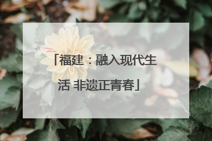 福建：融入现代生活 非遗正青春