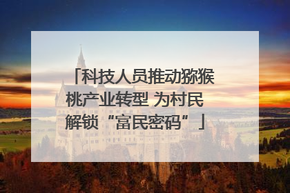 科技人员推动猕猴桃产业转型 为村民解锁“富民密码”