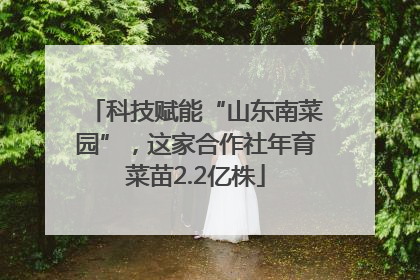 科技赋能“山东南菜园”，这家合作社年育菜苗2.2亿株