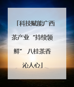 科技赋能广西茶产业“持续领鲜” 八桂茶香沁人心