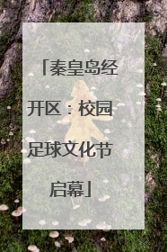 秦皇岛经开区：校园足球文化节启幕