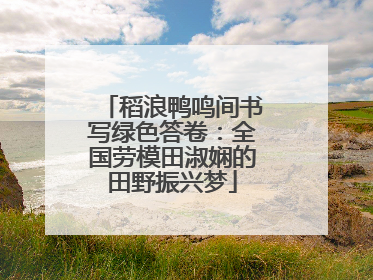 稻浪鸭鸣间书写绿色答卷：全国劳模田淑娴的田野振兴梦