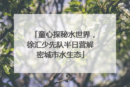 童心探秘水世界，徐汇少先队半日营解密城市水生态