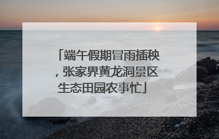 端午假期冒雨插秧，张家界黄龙洞景区生态田园农事忙