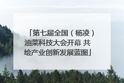 第七届全国（杨凌）油菜科技大会开幕 共绘产业创新发展蓝图