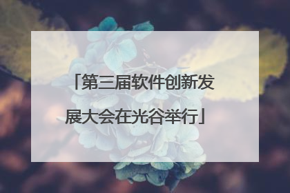 第三届软件创新发展大会在光谷举行
