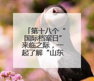 第十八个“国际档案日”来临之际，一起了解“山东档案”