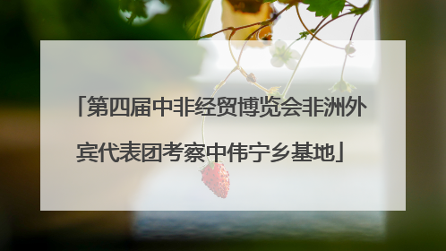 第四届中非经贸博览会非洲外宾代表团考察中伟宁乡基地