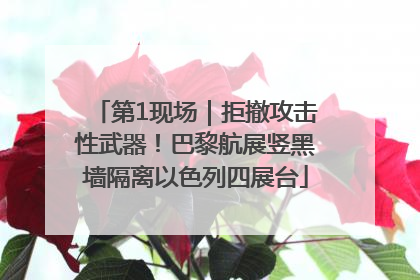 第1现场｜拒撤攻击性武器！巴黎航展竖黑墙隔离以色列四展台
