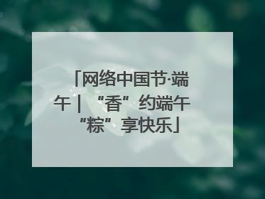 网络中国节·端午｜“香”约端午 “粽”享快乐